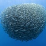 Startup de Hualpén busca revolucionar relación entre empresas y sus clientes