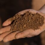 Pymes de Los Ángeles impulsan su crecimiento con el apoyo de Reactiva Biobío