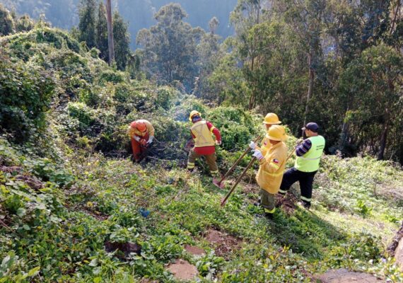 Los incendios forestales se gestionan y apagan en invierno