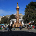 SAG, Corma y Pymemad realizan vigilancia fitosanitaria