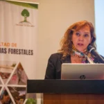 Aclara somete a evaluación ambiental proyecto de tierras raras en Penco