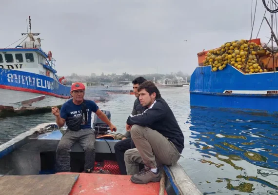 Colbún y pescadores artesanales limpian playas de Lo Rojas