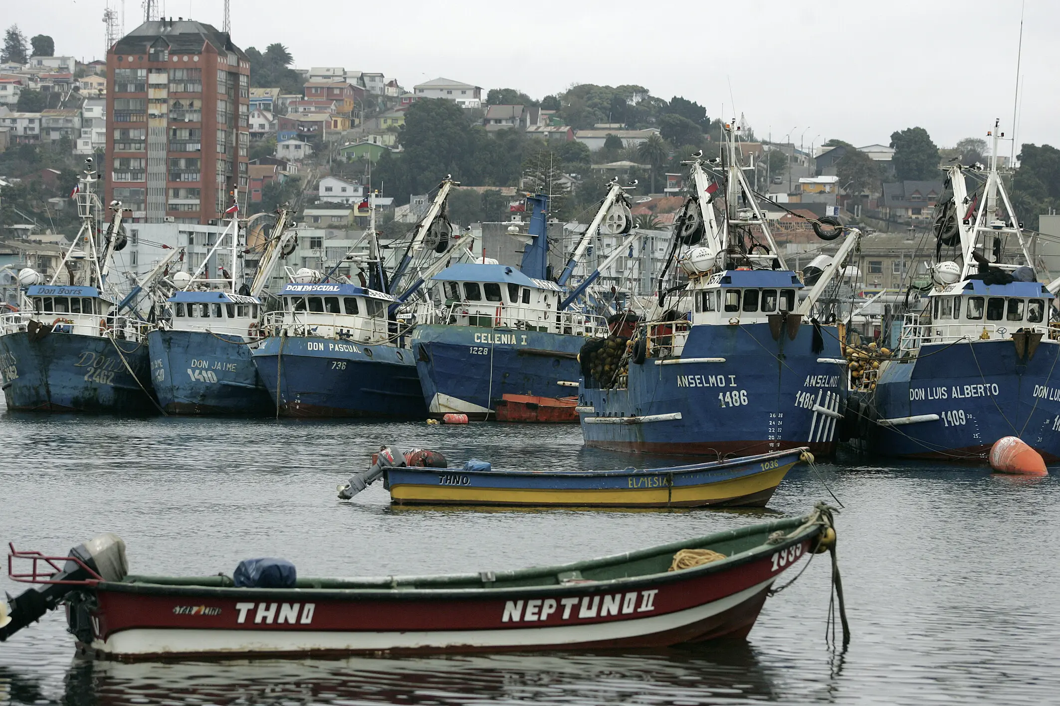 Desembarque pesquero en la Región del Biobío cayó 34,5% en abril