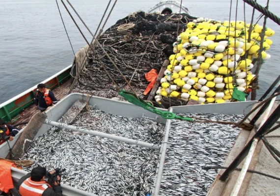 Desembarque pesquero del Biobío disminuyó 34,5% en abril