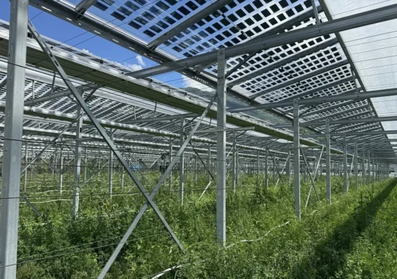 Ven solución a la pérdida de suelos agrícolas por parques fotovoltaicos