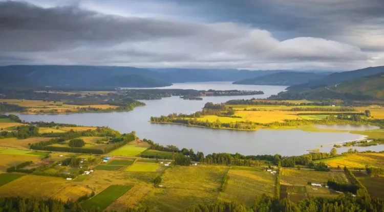 Estudios en Lago Lanalhue dan origen a nueva norma ambiental