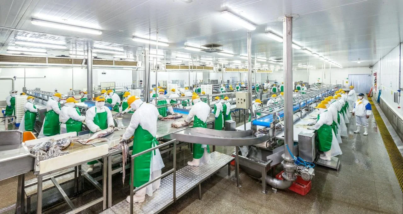 PacificBlu: 1.700 empleos directos se recuperarían de reactivarse la captura y procesamiento de jibia