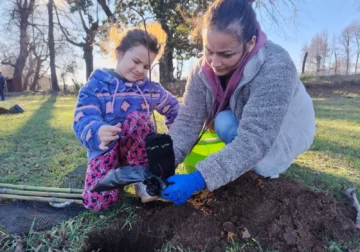 Programa Regenera permitió a vecinos reforestar sus entornos