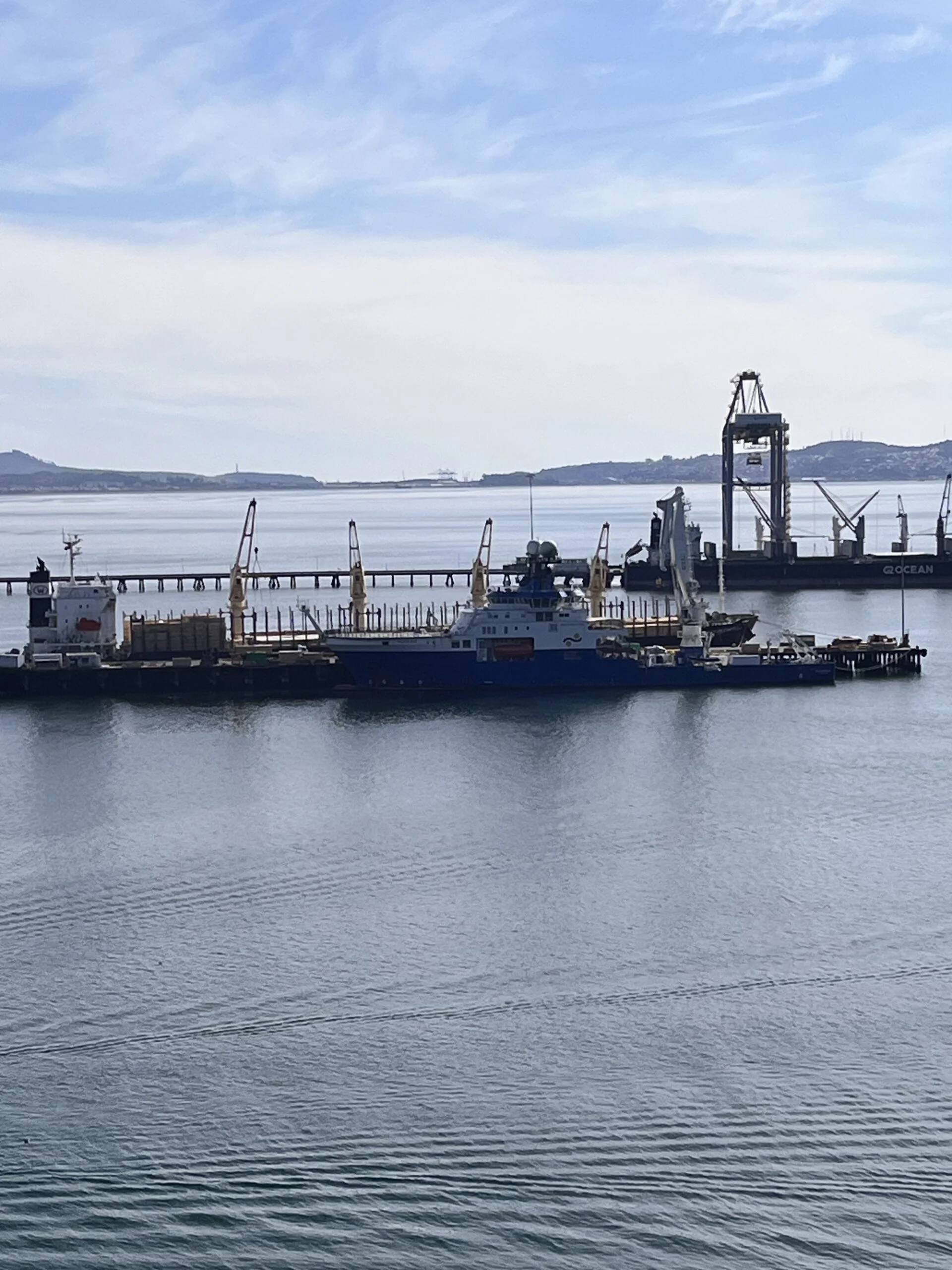 Paro en puertos de Estados Unidos afectará actividad exportadora del Biobío