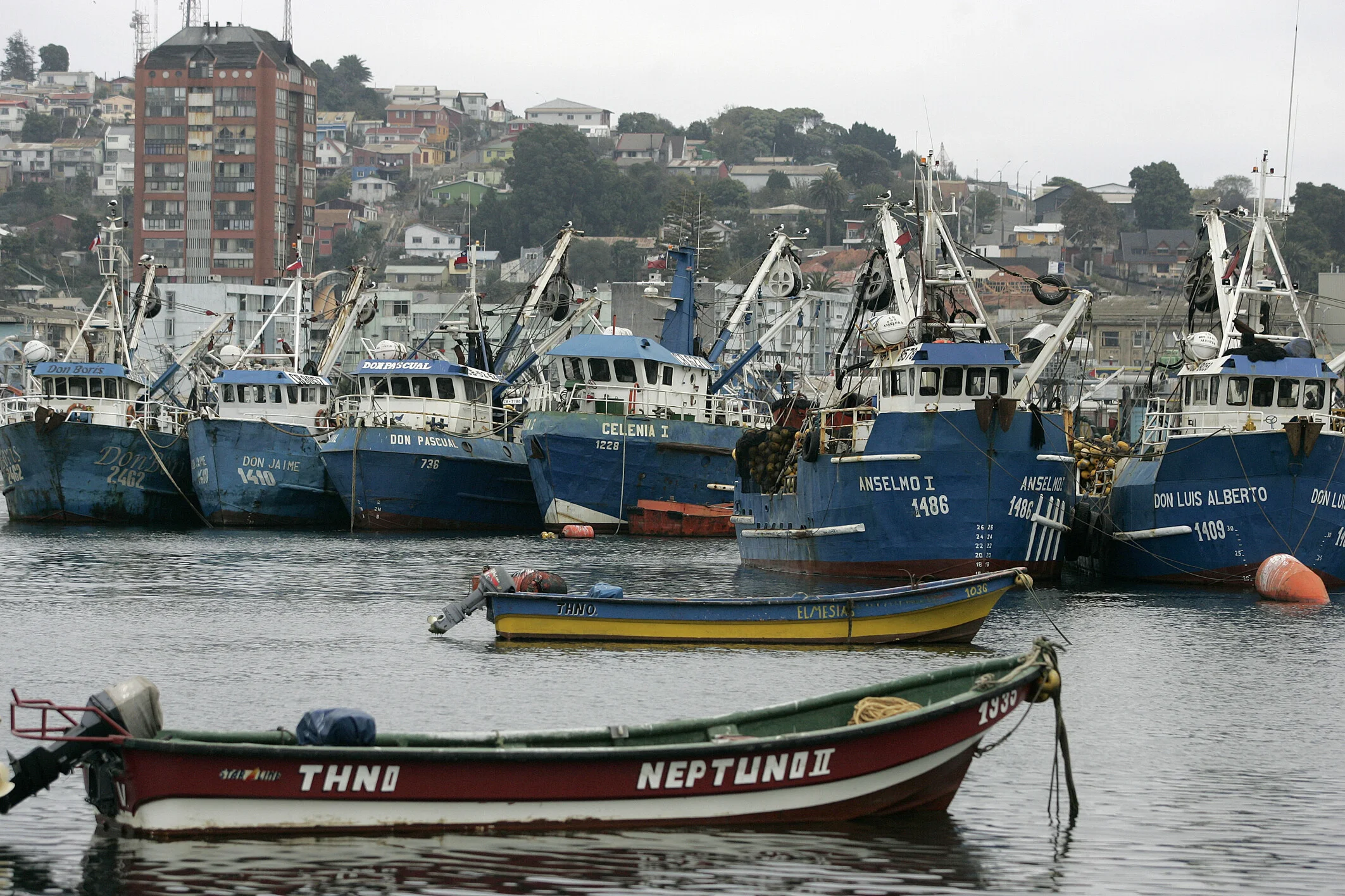 Desembarque pesquero se dispara: crece 431% en un año en la Región