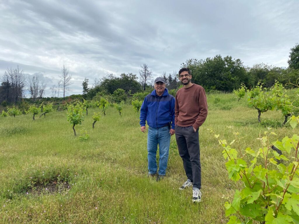 Vinos de nicho del Biobío captan interés de importador de EE.UU.