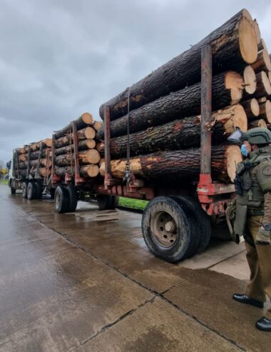 Corma exige mayor protección en zonas críticas