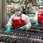 Caribe y Brasil dominaron las preferencias de los viajeros del Biobío
