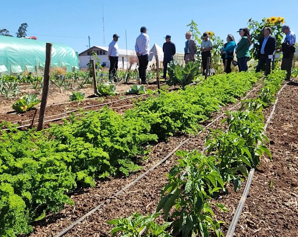 Gendarmería de Chile concluyó proyecto agroecológico en Cañete