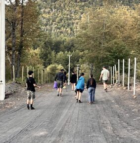Gremios de la madera: Aprobación del Senafor es un avance histórico para la gestión forestal