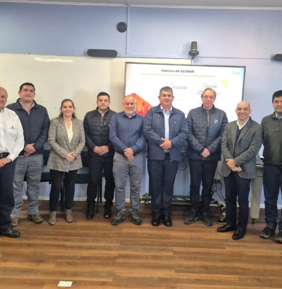 En Concepción, representantes multisectoriales analizaron los desafíos eléctricos del país