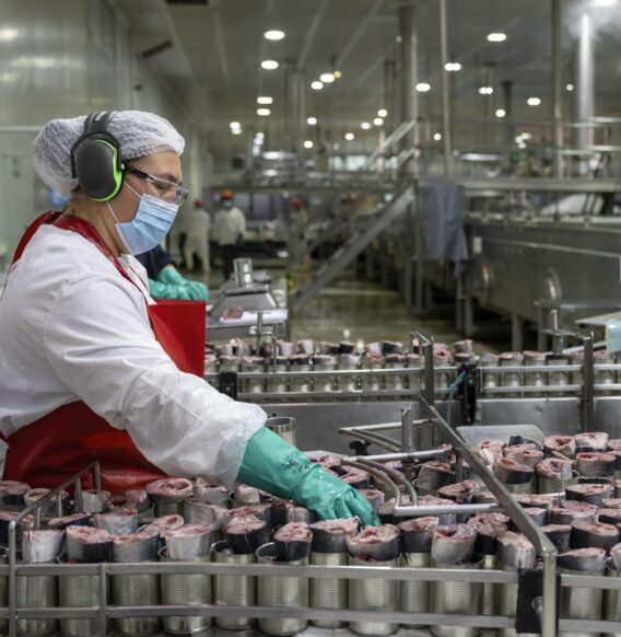 Pescadores Industriales acusan duro golpe tras aprobación del fraccionamiento