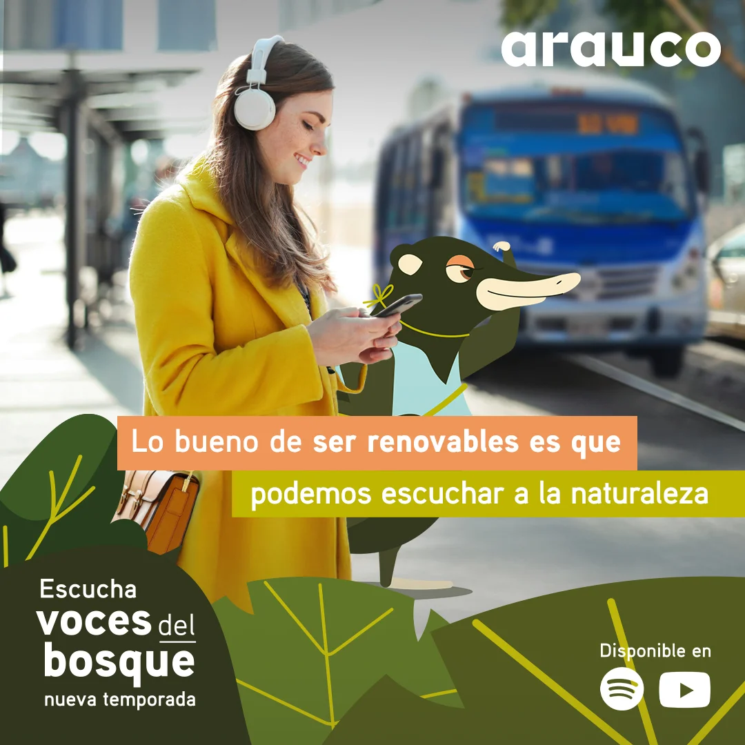 Voces del bosque - Arauco